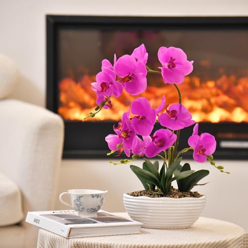 19" H Phalaenopsis Faux Orchid Plant Silk Orchid Centerpiece Artificial Floral Arrangement in Ceramic Pot (Fuchsia) - color: Fuchsia
