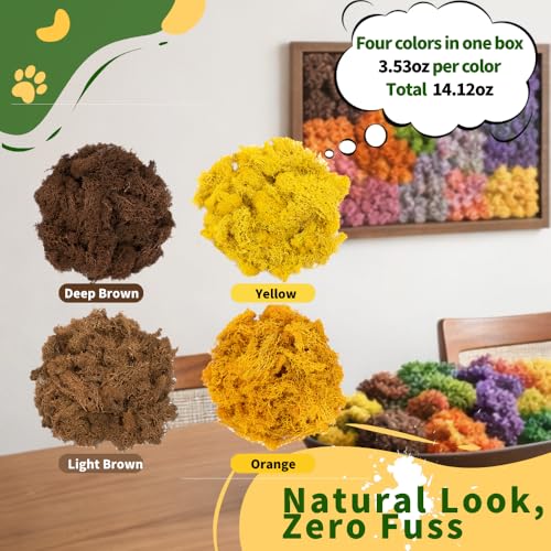 Preserved Reindeer Moss, Natural Decorative for Home Decor, DIY Crafts, Moss Wall Art, Terrariums, Floral Arrangements, Wedding & Holiday Decorations, Total 14oz (Autumn Beam) - color: Autumn Beam