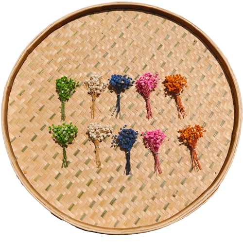 120 Pcs Mini Dried Baby Breath Flowers Gypsophila Ivory Mixed Color Flowers Dried Flowers for Vase Wedding Home Office Party Garden Card Making Decor Wreath Floral Craft DIY Art (Mixed Color Varient) - color: Mixed Color Varient