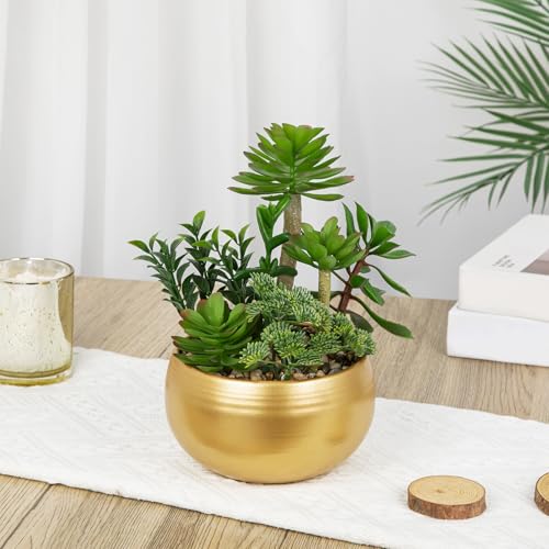 DILATATA Artificial Succulent Plants in Gold Pot Faux Succulent Arrangement Fake Potted Plants with Pebbles for Home Office Desk Shelf Table Decor - color: Gold #02