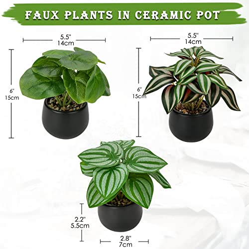 Briful 3PCS Fake Plants Potted Artificial Plants Mini Faux Plants in Black Ceramic Pots Greenery Décor for Home Office Table Room Farmhouse Indoor Decoration - color: Type#1