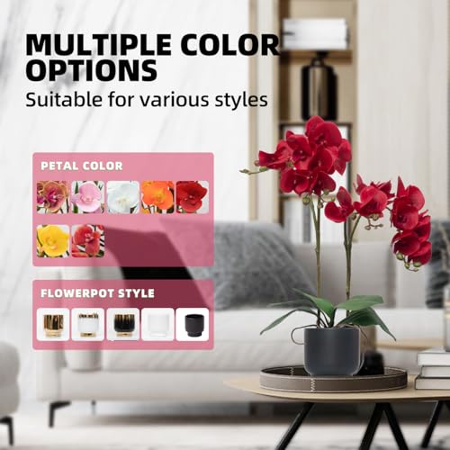 CXGS Orchids Artificial Flowers Real Touch Fake Flowers in Ceramic Pot 20" Red Faux Orchid Plant Lifelike Silk Phalaenopsis for Centerpiece Hotel Home Indoor Decor - color: Red- Black Vase