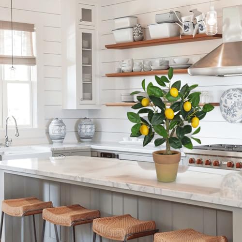 Oairse Artificial Potted Plants 19.7 inches Small Fake Lemon Tree Artificial Lemons Citrus Tree with Terracotta Pot Faux Plants Indoor Lemon Decorations for Home,Office, Living Room Table, Desk - style: Terracotta Pot