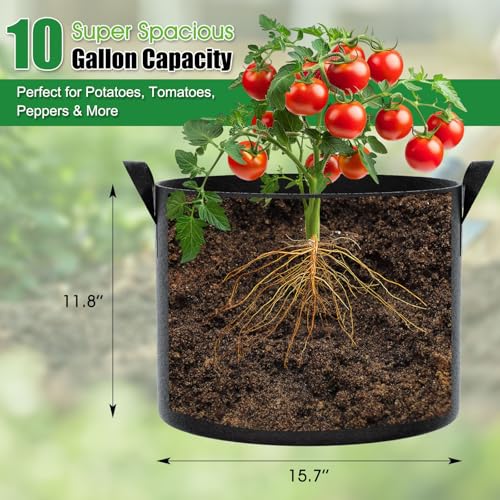 FEED GARDEN 10 Gallon Grow Bags 4 Pack – 300G Thickened Fabric Plant Pots with Reinforced Handles, Breathable Drainage Planters for Vegetables, Tomatoes, Herbs, Indoor & Outdoor Gardening - size: 10 Gallon