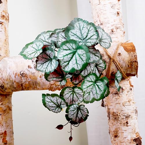 Woyrise Reptile Plants, Terrarium Hanging Plants Vines for Reptile Tank, Amphibian Habitat Leaves Decor with Suction Cups for Bearded Dragon Lizard Snake Gecko Frog Hermit Crab - 2Pack Green Heuchera - color: Heuchera