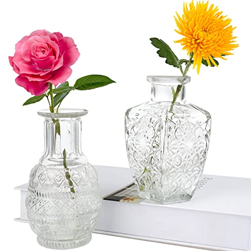 Glass Vase Bud in Bulk Set of 2,Vintage Flower Bottle Small Bud Vases for Floral Arrangements, Home Decor,Wedding Centerpiece,Table Decor,Decorative Centerpiece,Dinning(Set of 2) - color: Clear-2