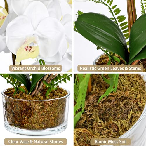 White Orchids Artificial Flowers 16.5" Faux Orchids Plant in Pot Fake Flower Arrangements with Glass Vases White Centerpieces for Kitchen Dining Room Tables Bathroom Nightstand Shelf Desk Decor - color: White Orchid & Moss