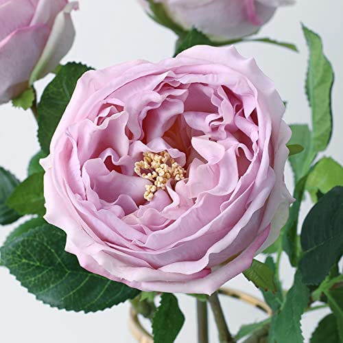 UKELER 4 Pcs Real Touch Artificial Flowers Austin Rose Peony with Stem for Home Decor Flower Arrangement Wedding Party Decoration, Light Purple - color: Light Purple
