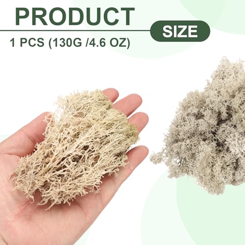 MECCANIXITY 4.6oz Preserved Reindeer Moss, Brown Decorative Artificial Fake Moss for Potted Plants Indoor Crafts Lichen Centerpieces Decor - color: Brown, size: 4.6oz