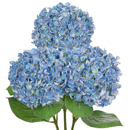 26" Artificial Hydrangea Flower with 6.6" Large Bloom, Realistic Gradient Silk Flowers, Faux Hydrangeas for Home Wedding Centerpiece Decor, Big Petal Fake Floral Arrangement, Indoor Outdoor Display - color: Blue, size: 3PCS