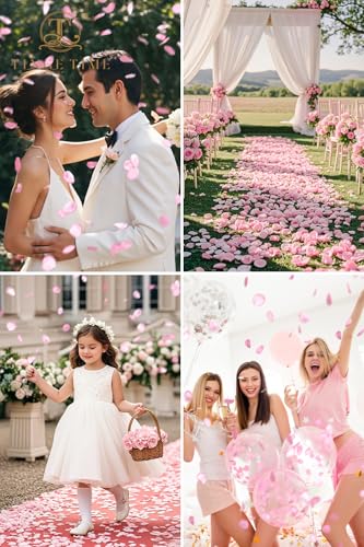 TINGE TIME 200pcs Silk Rose Petals Pink Flower Petals for Wedding, Flower Girl Basket, Aisle Runner, Romantic Dinner Centerpieces, Proposal, Party Confetti - color: Pink