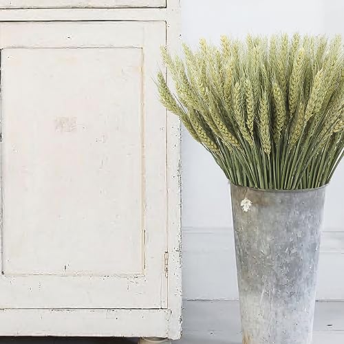 100 Pcs Dried Wheat Stalks Bundle Natural Dried Wheat Sheaves Stems Wheat Grass Dried Flowers Arrangement Bouquet for Wedding Party Table Centerpiece Fall Harvest Wreath Boho Decor Farmhouse
