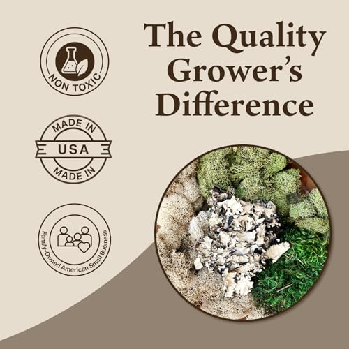 Quality Growers - The Moss Collection Variety Pack - Natural Decorative Moss - Crafts, Home Decor, Art, Design & DIY Projects - Non-Toxic - Made in USA - Original, Small, 2-Pack - color: Original, size: Small (2-Pack)