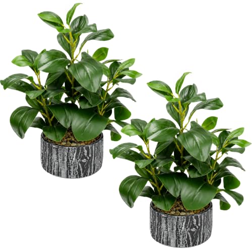 Der Rose 2 Pack Fake Plants Artificial Plants Indoor with Black and White Striped Pots for Room Home Bathroom Bedroom Kitchen Decor - color: 2packs-green