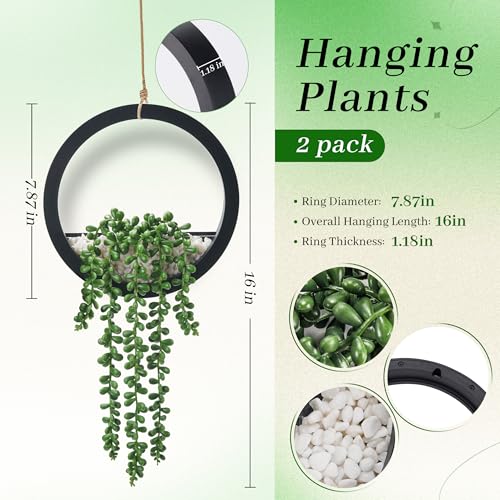 Der Rose 2 Pack Fake Plants Hanging Artificial Succulents Plants in Black Pots for Living Room Bathroom Accessories Boho Farmhouse Wall Decor - color: Black