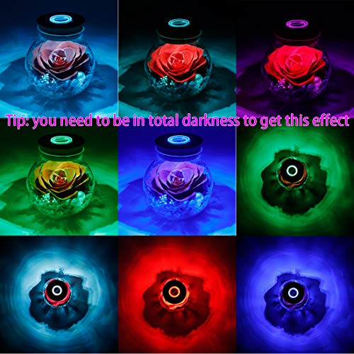 Preserved Real Roses with Colorful Mood Light Wishing Bottle, Eternal Rose，Never Withered Flowers, Table Decor,Christmas Anniversary Valentine's, Red 4.3inch, 1pcs - color: Red
