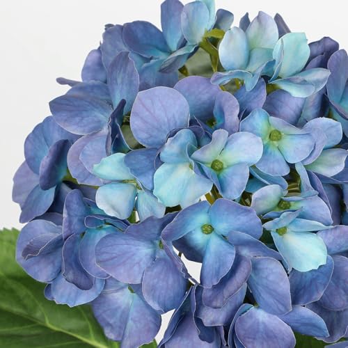 Hollyone Blue Hydrangea Artificial Flowers in Pot Large Silk Three-Head Hydrangeas Flowers Fake Flowers Arrangements for Indoor Home Office Kitchen Table Centerpieces Wedding Decorations - color: Blue, size: 3 Head Hydrangea