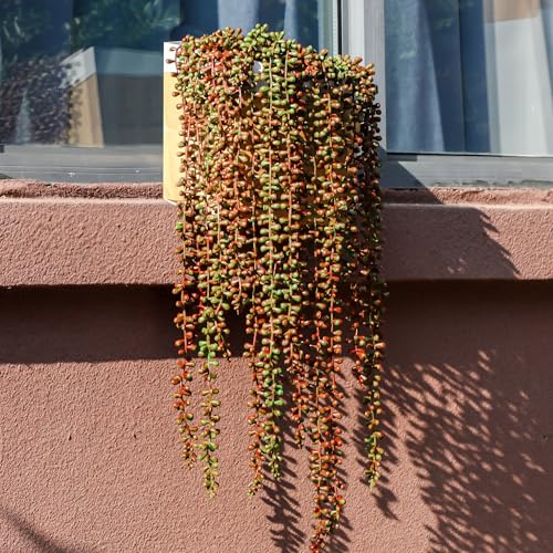 3PCS Orange Artificial Succulents Hanging Plants,27.5 Inch Fake String of Pearls Greenery Plants 5 Branches for Autumn Home Garden Office Balcony Wall Indoor Outdoor Fall Decoration,Orange - color: Orange