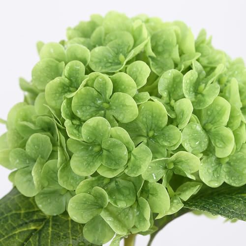 Coferset 5pcs Hydrangea Artificial Flowers Real Touch 20 inch Lifelike Hydrangea Flower for Home Wedding Office Party Living Room Decoration (Dark Green) - color: Dark Green