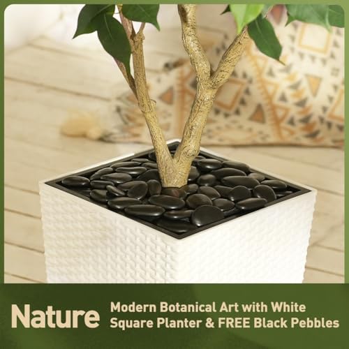 VeriNatural 5FT Artificial Ficus Tree with White Taper Planter & Pebbles– Tall Faux Trees with UV Resistant Silk Leaves for Indoor Outdoor - Potted Fake Floor Plants for Home Office Room Decor, VN128