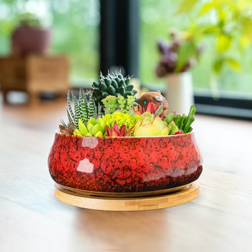 ARTKETTY Succulent Pots - 8 Inch Plant Pot, Large Bonsai Pots with Drainage Tray, Ceramic Planters for Indoor Outdoor Plants, Round Shallow Cactus Flower Plant Container Bowl Decorative Home Garden - color: Red