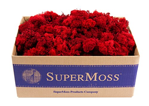 SuperMoss 7 59834 21785 5 Reindeer Moss Preserved, Appx. 3 lb Bulk Case, Red - color: Red, size: Appx. 3 lb Bulk Case