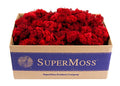 SuperMoss 7 59834 21785 5 Reindeer Moss Preserved, Appx. 3 lb Bulk Case, Red - color: Red, size: Appx. 3 lb Bulk Case