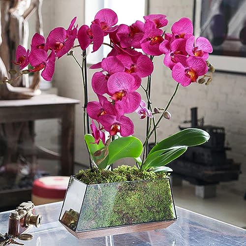 38 Inch Purple Flowers Orchids Artificial Flowers 6 PCS Artificial Orchids Faux Orchid Velvet Flowers Long Stem Artificial Flowers for Tall Vase for Home Wedding Decoration(Purple) - color: Light Purple