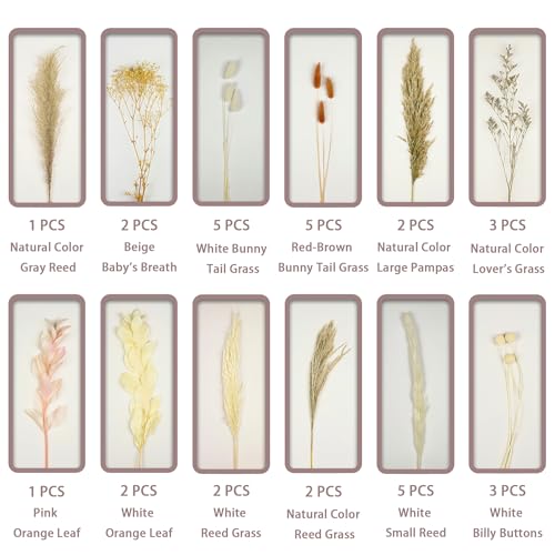 Dried Flower Bouquet (No Vase) | 17'' Mini Boho Floral Arrangement - Pampas, Bunny Tails, Baby's Breath & More Natural Dried Flowers – Home Wedding Decor, Centerpiece