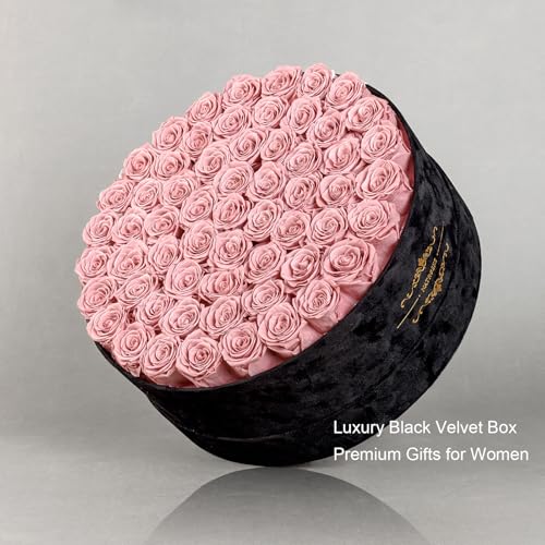 Gifts for Women – NATROSES 60 Preserved Roses in Luxury Black Velvet Box, Preserved Flowers for Delivery Gift for Her, Elegant Rose for Birthday, Mother’s Day, Christmas (Dusty Rose) - color: Dusty Rose, size: 60 Roses