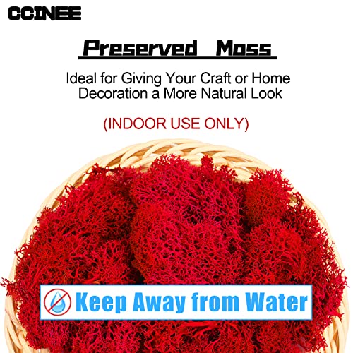 CCINEE Moss Preserved, 4 OZ Fake Reindeer Moss for Potted Plants for Craft Arts Floral Wall Decor Wedding Centerpieces Fairy Garden Artificial Terrariums Decoration for Christmas(Rose Pink) - color: Rose Pink