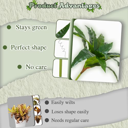 ucky 18.1" Artificial Dracaena Leaves Stems (15 Leaves, Bird’s Nest Fern), Lifelike Faux Tropical Greenery Bush for Vase, Outdoor Porch Decor - color: 2pcs Bird's Nest Fern, size: 15 Leaves