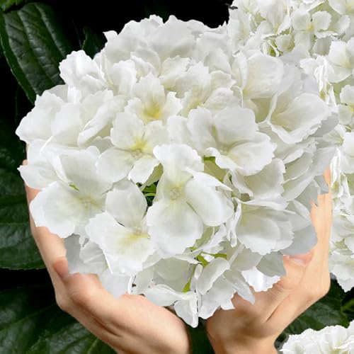 3PCS White Silk Hydrangea Artificial Flowers， Fake Flowers & Faux Floral Bulk Bouquet for Home Decor Bathroom Table Centerpiece Shelf Decorations (White) - color: White
