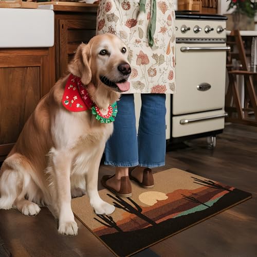 Boho Western Cactus Door Mat, Desert Landcape Welcome Front Door Mat Indoor Outdoor Entrance, Rustic Western Artificial Coir Doormat Rugs for Porch Patio Entry Decor 30x17in - color: Mountain Cactus
