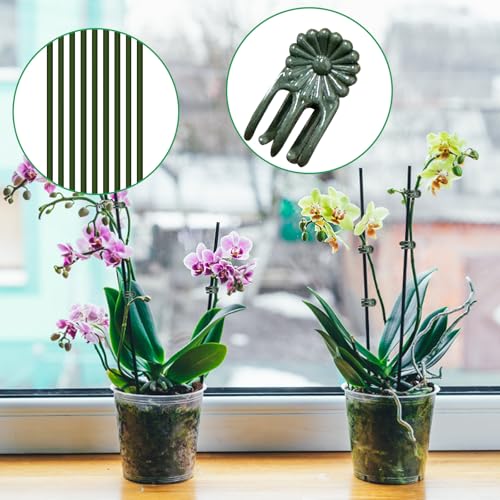 50Pcs Plant Stake Clip Set Green, Plant Sticks Supplies Support Tall, Useful Support Clips, Fine Workmanship Allow Bending Suitable for Various Plant Pots Indoors and Outdoors - color: 50Pcs