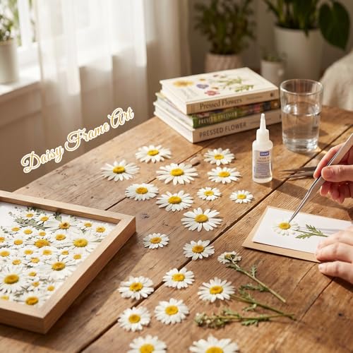 48 Pcs Natural Dried Pressed Daisy Flowers for Cake Decorating, Birthday Party Favors, Real Dry Daisies for Cupcakes, Resin Jewelry Making, DIY Art Crafts(Daisy) - color: Daisy