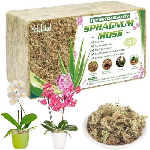 Halatool 2.2LBS Natural Sphagnum Moss for Plants 40 QT Premium Peat Moss Dried Long Fiber Orchid Moss for Orchid Repotting Carnivorous Succulents Garden Flowers Crafts Terrarium and Reptiles - size: 40 qt (2.2 lbs)