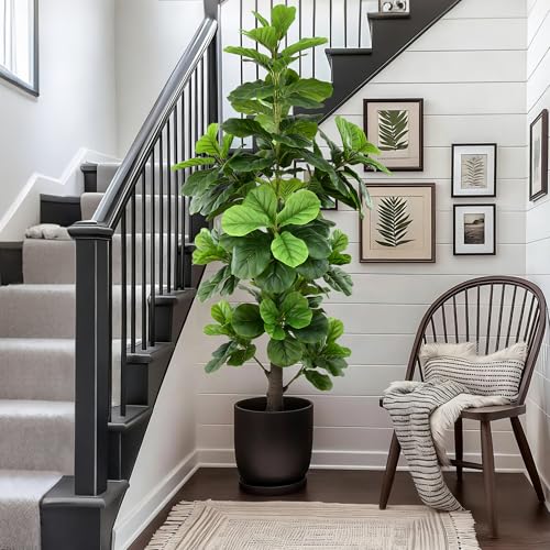 Artificial Fiddle Leaf Fig Tree 6ft, Tall Faux Ficus Lyrata Plant with Realistic Leaves and Trunk, 72" Fake Fig Trees in Black Pot for Home Office Living Room Porch Indoor Outdoor Decor
