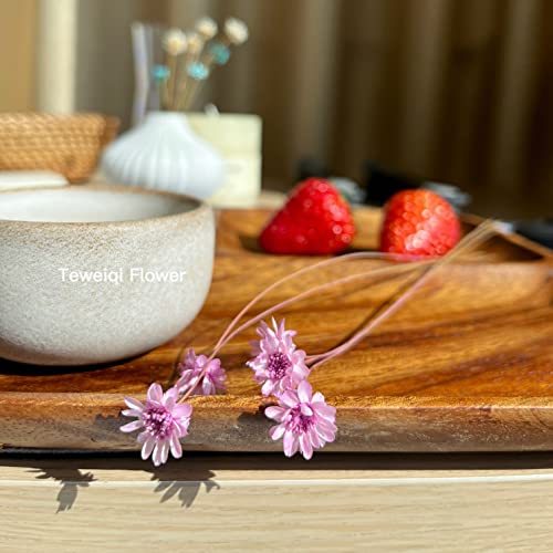 Natural - Dried - Flowers Brazilian Small Star Daisy Dried Decorative Mini Chamomile Bouquet for Wedding Floral Arrangements Home Decorations Valentine's Day Gifts (200 Stems) (Light Purple ) - color: Light Purple