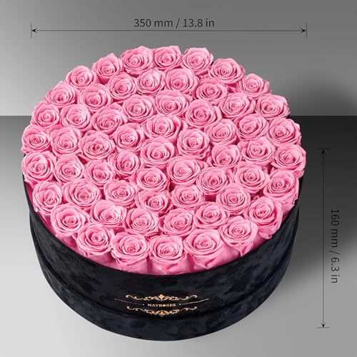 Gifts for Women – NATROSES 60 Preserved Roses in Luxury Black Velvet Box, Preserved Flowers for Delivery Gift for Her, Elegant Rose for Birthday, Mother’s Day, Christmas (Pink) - color: Pink, size: 60 Roses