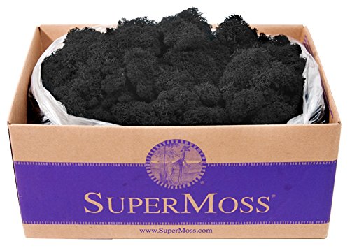 SuperMoss 21786 Reindeer Moss Preserved Black, Appx. 3 lb Bulk Case - color: Black, size: Appx. 3 lb Bulk Case