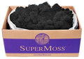 SuperMoss 21786 Reindeer Moss Preserved Black, Appx. 3 lb Bulk Case - color: Black, size: Appx. 3 lb Bulk Case