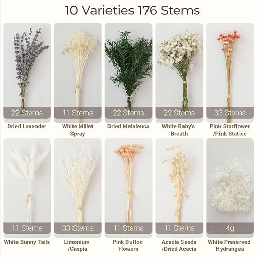 LUXEEASE Mixed Mini Dried Flowers Bouquet 176 Stems, 11 Kinds Natural Preserved Flowers (Lavender, Baby's Breath, Bunny Tails) , Boho Farmhouse Home Wedding Centerpiece Décor - color: Natural Neutrals