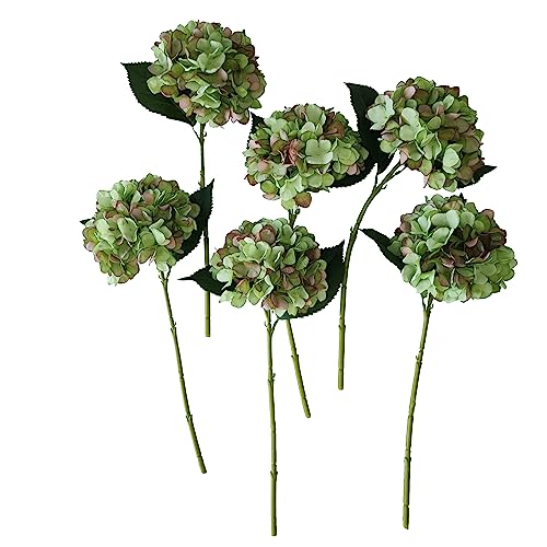 Green Hydrangea Artificial Flowers,6 Pcs Faux Green Hydrangea Flowers, Artificial Hydrangeas Flowers with Stems,Fake Hydrangea Flowers, Hydrangea Silk Flowers (6, Green) - color: Green