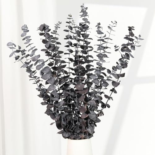 Tavkite 16 Pcs Dried Eucalyptus Stems, 17'' Natural Fresh Eucalyptus Leaves Branches Hanging for Shower, Preserved Real Purple Plant Live for Home SPA Wall Bathroom Wedding Party Vase Decor - color: Purple