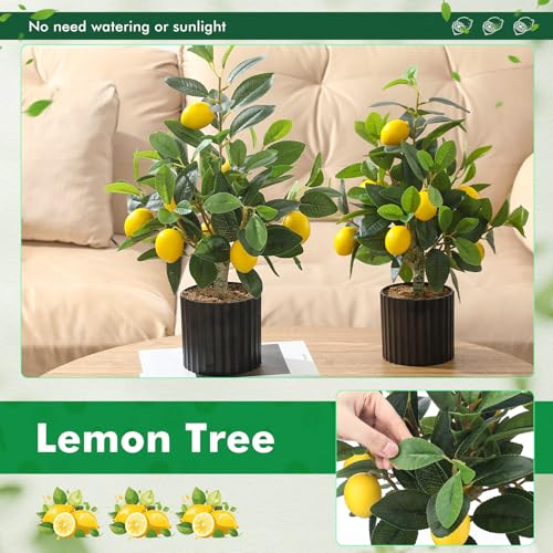 Giegxin 2 Pcs Artificial Lemon Tree 15.7 Inches Fake Artificial Potted Plants Faux Lemon Citrus Tree with Pot Faux Plants Indoor for Home Kitchen Office Living Room Table Desk (Black Pot) - color: Black Pot