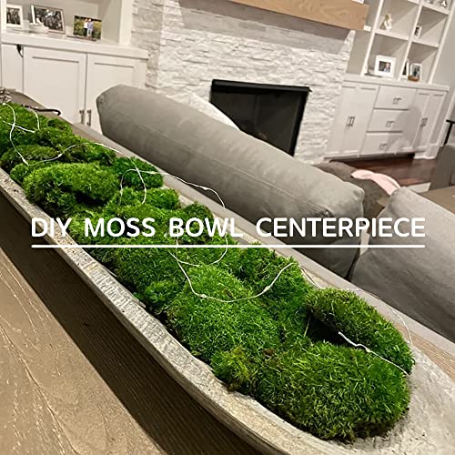 Preserved Pole Moss Pillow Bun Cushion Natural Green Decorative Real Natural Green DIY Kit Terrariu7r Table Decor Wedding (10.5 sq.ft., Green-B) - color: Green-b, size: 10.5 sq.ft