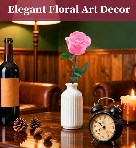 Preserved Flowers for Delivery,Pink Rose Bouquets That Last 5 Years,Birthday Flowers Gifts for Women Mom Grandma Wife Friends,Mothers Day Roses Gift,Romantic Floral for Anniversary or Valentine’s Day - color: Pink, size: Single Rose