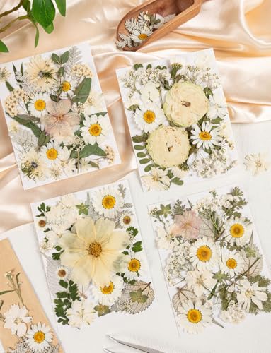 100pcs White and Light Yellow Dried Pressed Flowers Bulk, Natural Fall Pressed Dried Flowers with Tweezer for DIY Crafts Resin Mold Candles Cake Bridal Scrapbooking Supplies - size: White Flower