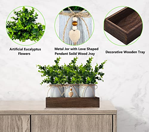 CALAVAK Decorative Centerpiece Wooden Tray with 3 Metal Potted Artificial Eucalyptus Rustic Country Home Décor for Dining Room, Living Room and Kitchen Table - style: Eucalyptus